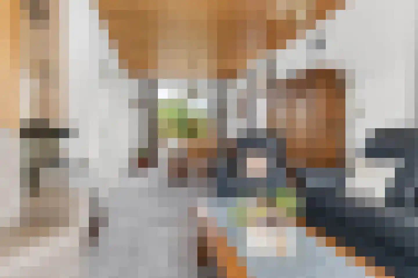 Toon Bolsiusstraat 58 Schijndel thumbnail 8