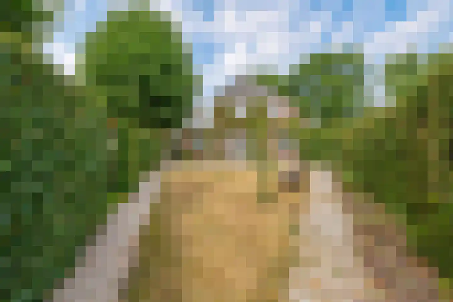 Toon Bolsiusstraat 64 Schijndel thumbnail 36