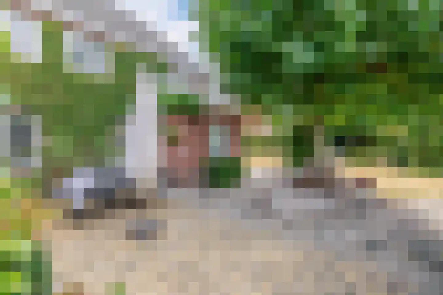 Toon Bolsiusstraat 64 Schijndel thumbnail 4