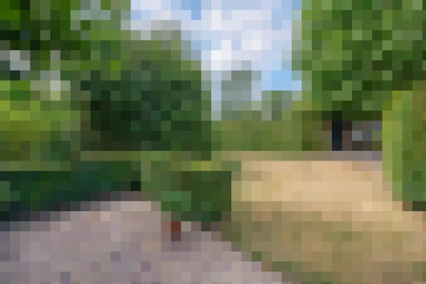 Toon Bolsiusstraat 64 Schijndel thumbnail 40