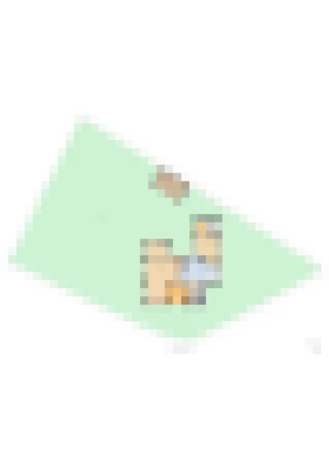 Toon Bolsiusstraat 64 Schijndel thumbnail 50