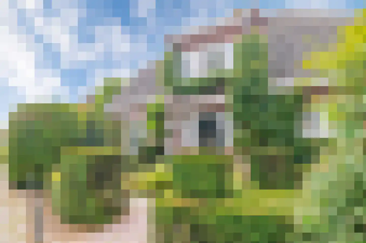 Toon Bolsiusstraat 64 Schijndel thumbnail 6
