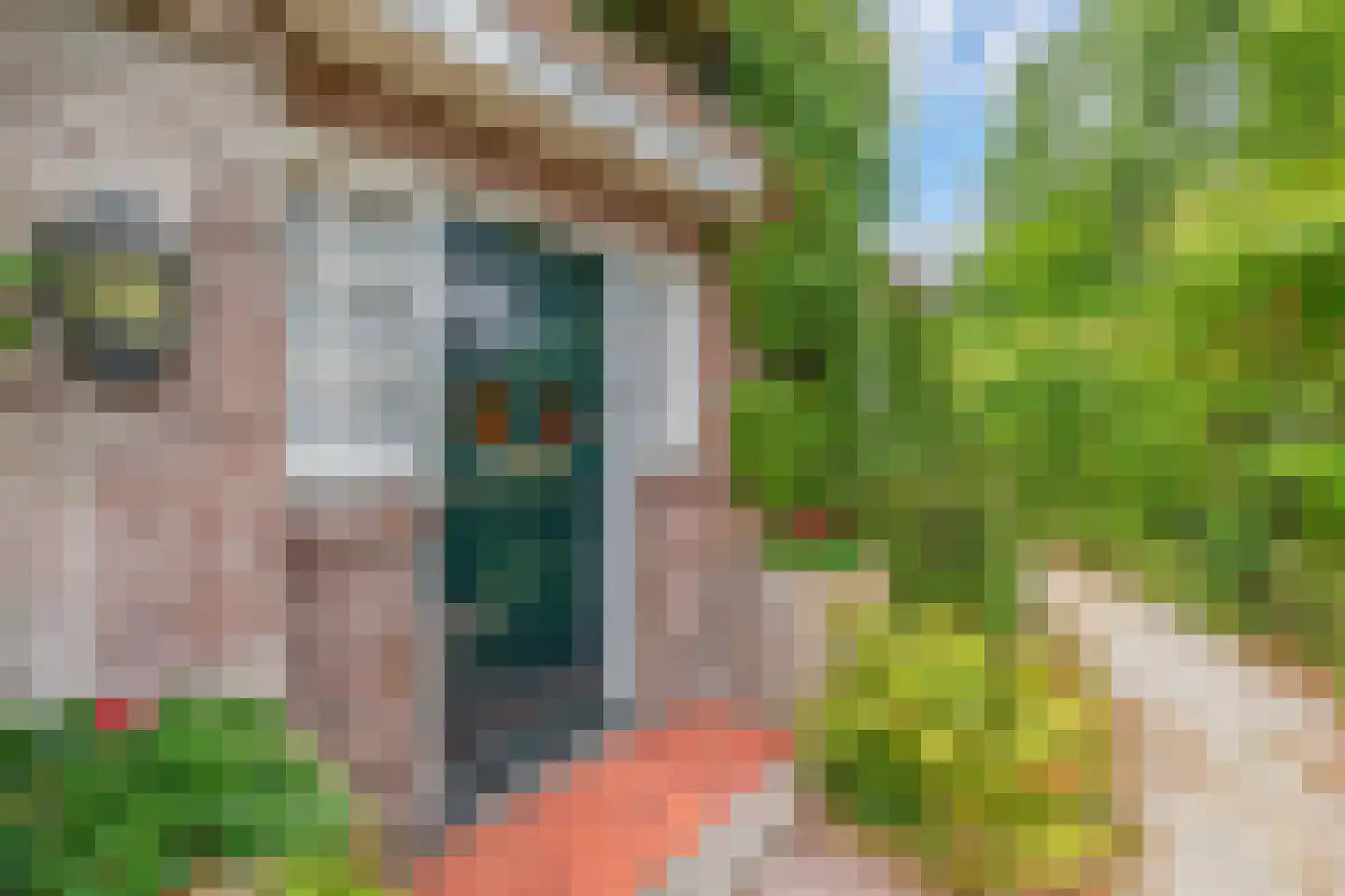 Toon Bolsiusstraat 64 Schijndel thumbnail 7