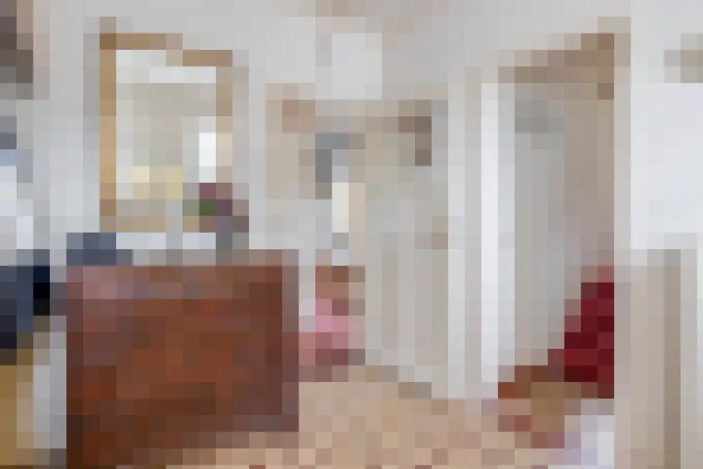 Toon Bolsiusstraat 64 Schijndel thumbnail 8
