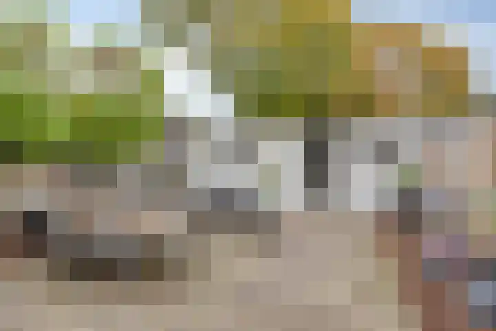 Toon Borghuisstraat 46 Oldenzaal thumbnail 24
