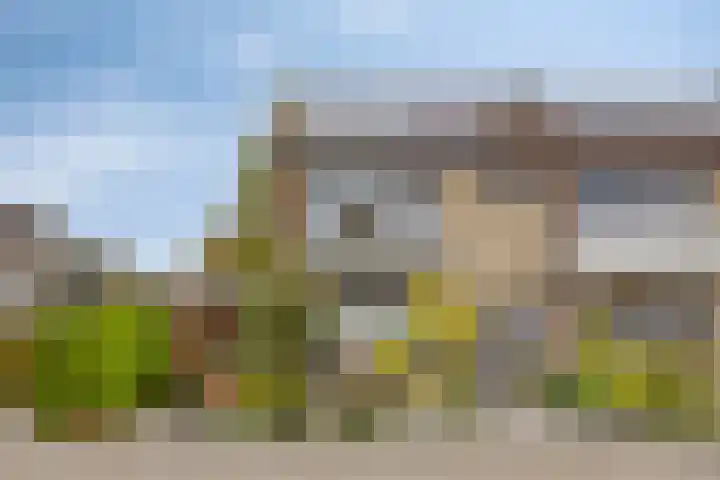 Toon Borghuisstraat 46 Oldenzaal thumbnail 28