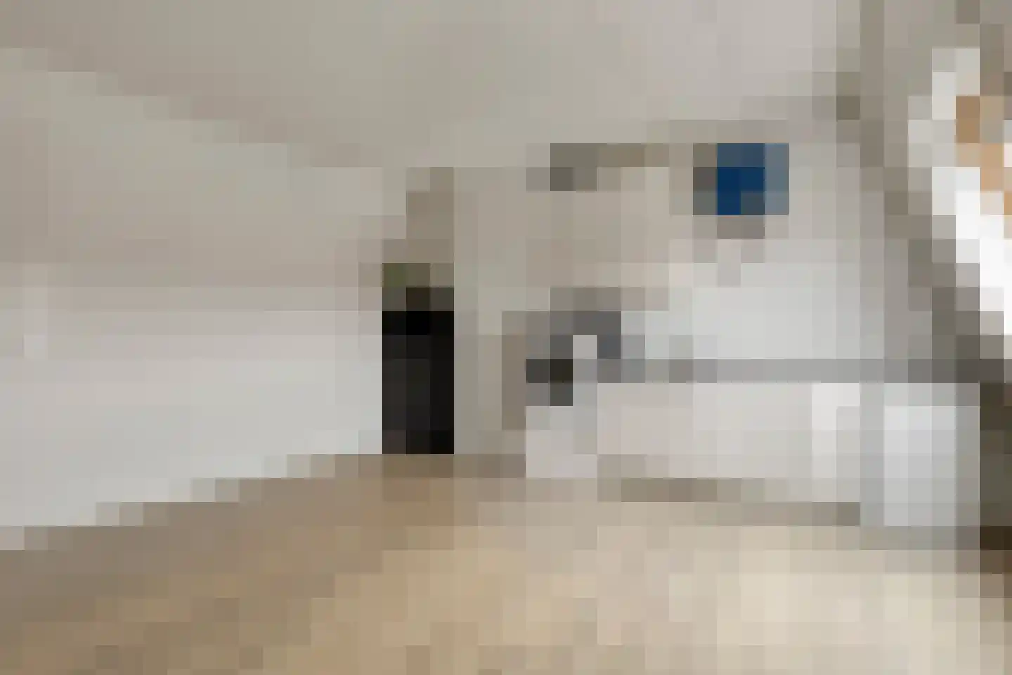 Toon Dupuisstraat 18 Purmerend thumbnail 25
