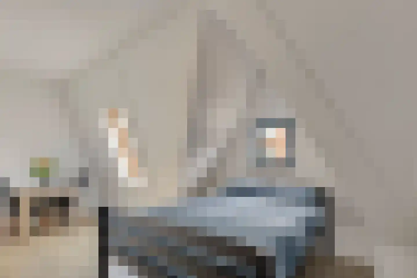 Toon Dupuisstraat 18 Purmerend thumbnail 29