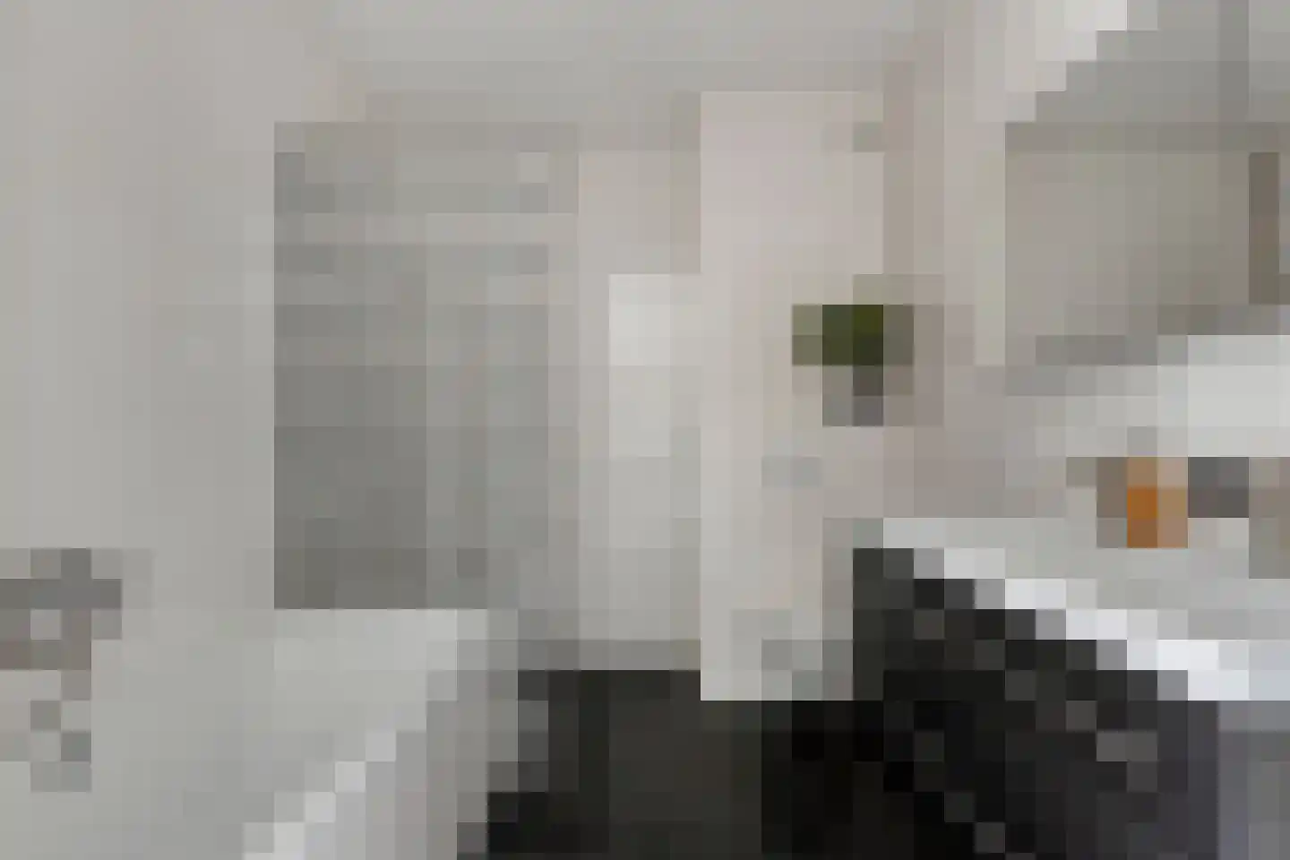 Toon Dupuisstraat 18 Purmerend thumbnail 4