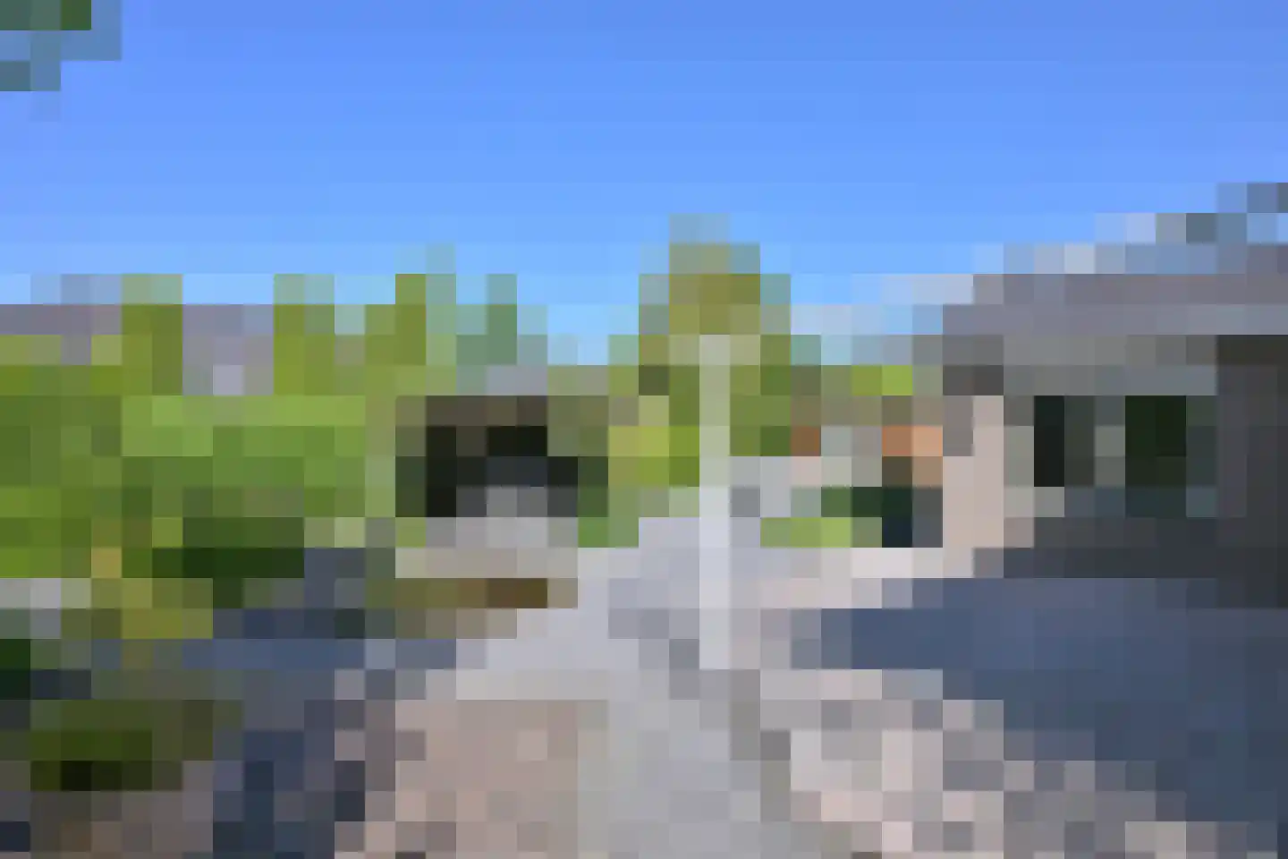 Toon Dupuisstraat 4 Deventer thumbnail 39