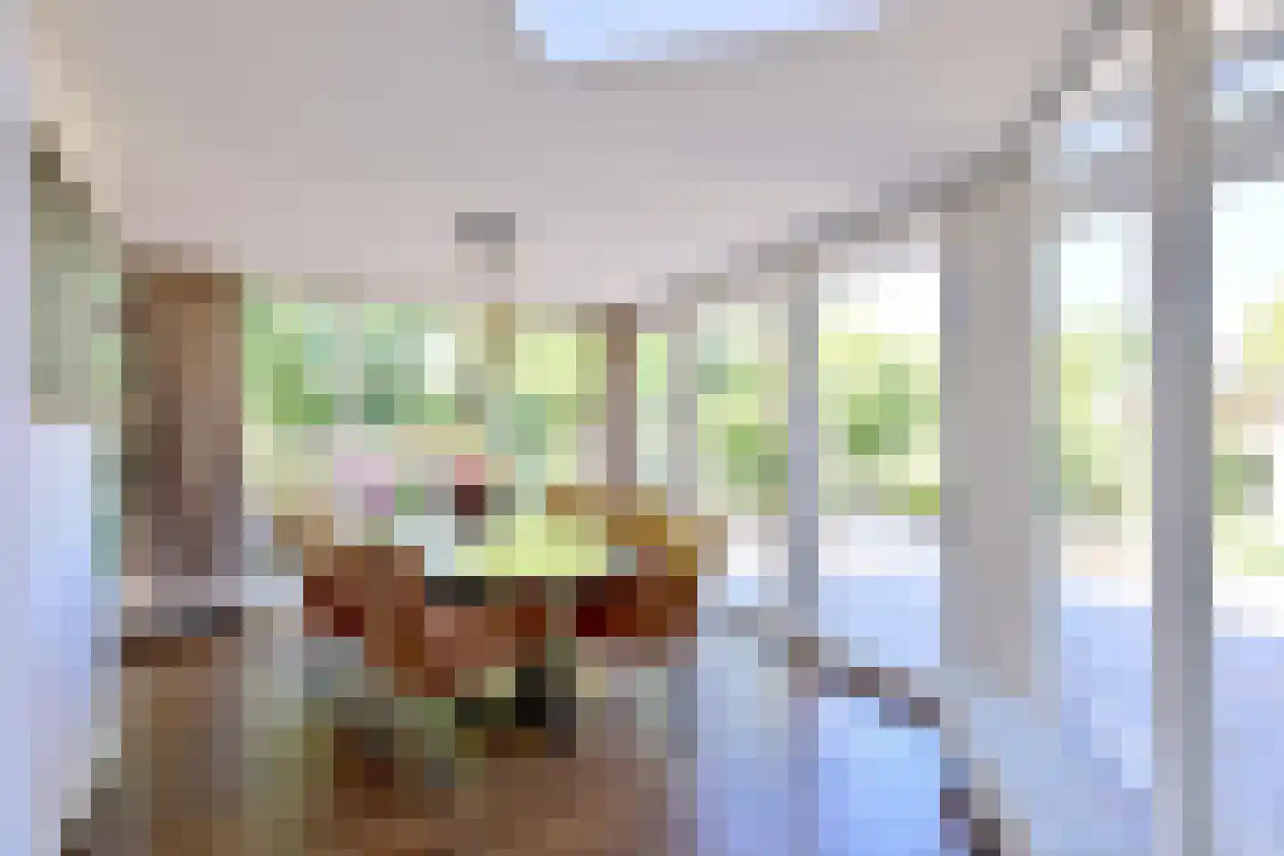Toon Dupuisstraat 4 Deventer thumbnail 8