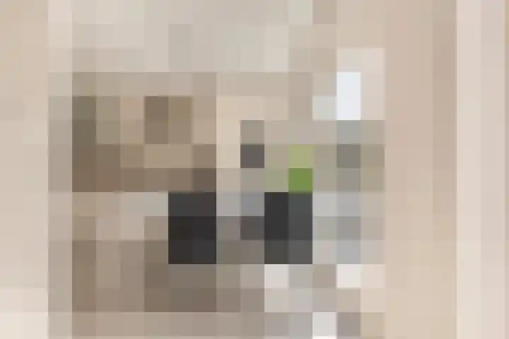 Toon Hermanslaan 14 Beverwijk thumbnail 12