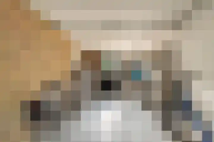 Toon Hermanslaan 14 Beverwijk thumbnail 34