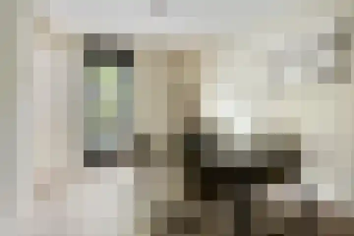 Toon Hermansplein 11 Waalwijk thumbnail 10