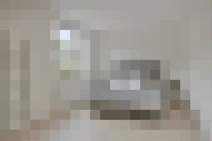 Toon Hermansplein 11 Waalwijk thumbnail 12