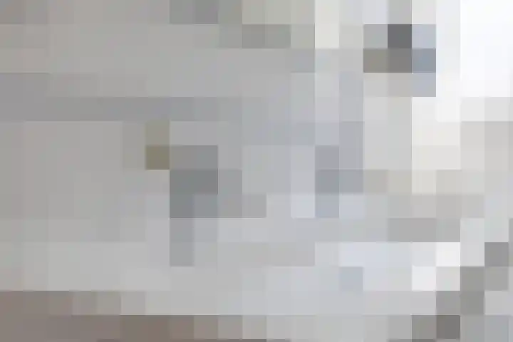 Toon Hermansplein 5 Waalwijk thumbnail 25