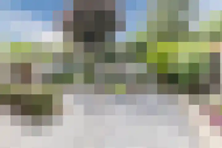 Toon Hermansplein 5 Waalwijk thumbnail 33