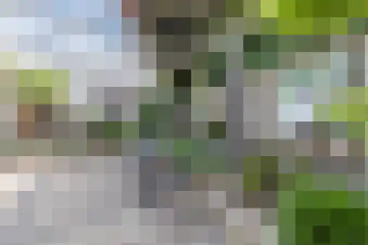 Toon Hermansplein 5 Waalwijk thumbnail 35