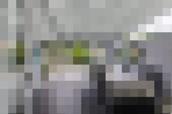 Toon Hermansplein 5 Waalwijk thumbnail 38