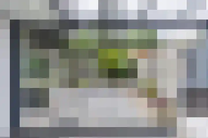 Toon Hermansplein 5 Waalwijk thumbnail 40