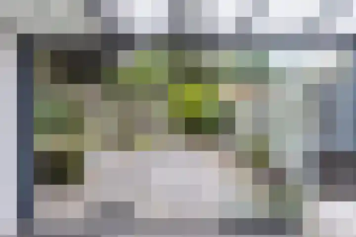 Toon Hermansplein 5 Waalwijk thumbnail 41