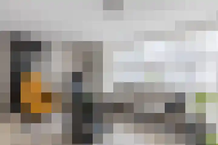 Toon Hermansplein 5 Waalwijk thumbnail 5