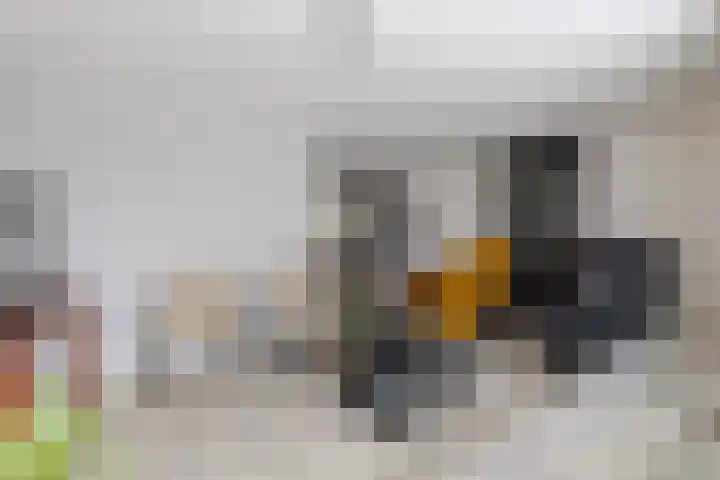 Toon Hermansplein 5 Waalwijk thumbnail 6