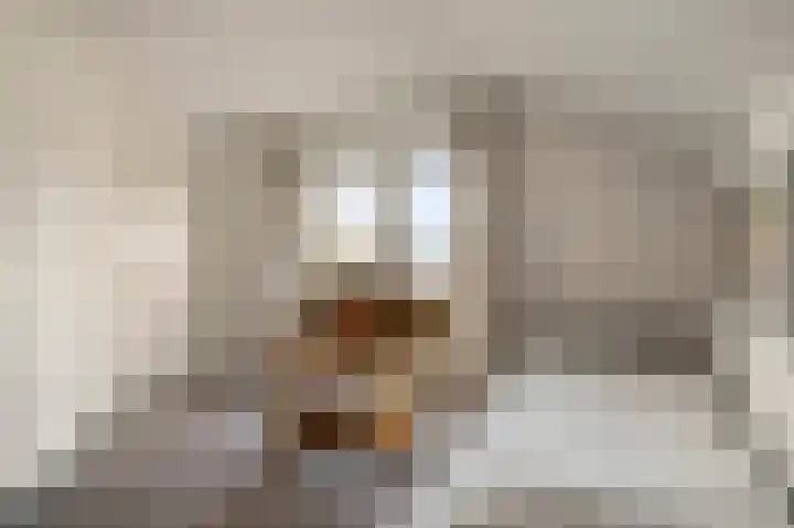 Toon Hermanssingel 14 Sittard thumbnail 18