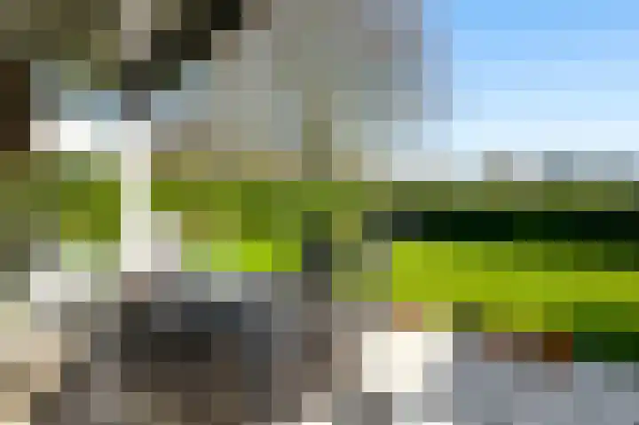 Toon Hermanssingel 14 Sittard thumbnail 23