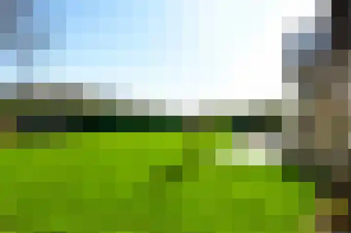 Toon Hermanssingel 14 Sittard thumbnail 24