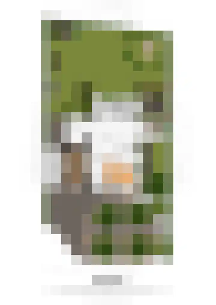 Toon Hermanssingel 14 Sittard thumbnail 28