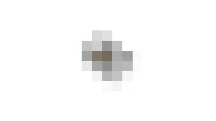 Toon Hermanssingel 14 Sittard thumbnail 35