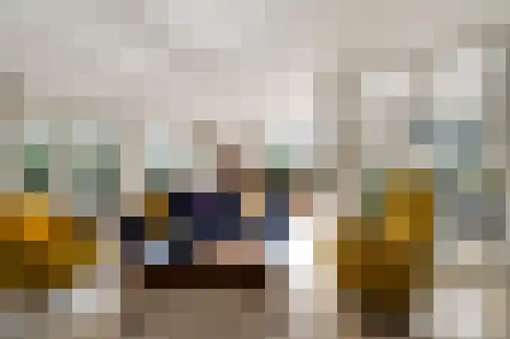 Toon Hermanssingel 14 Sittard thumbnail 8