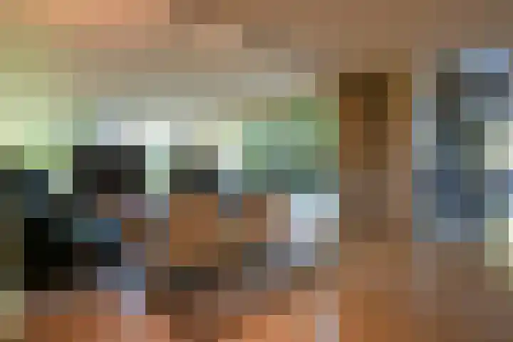 Toon Hermanssingel 5 Sittard thumbnail 10