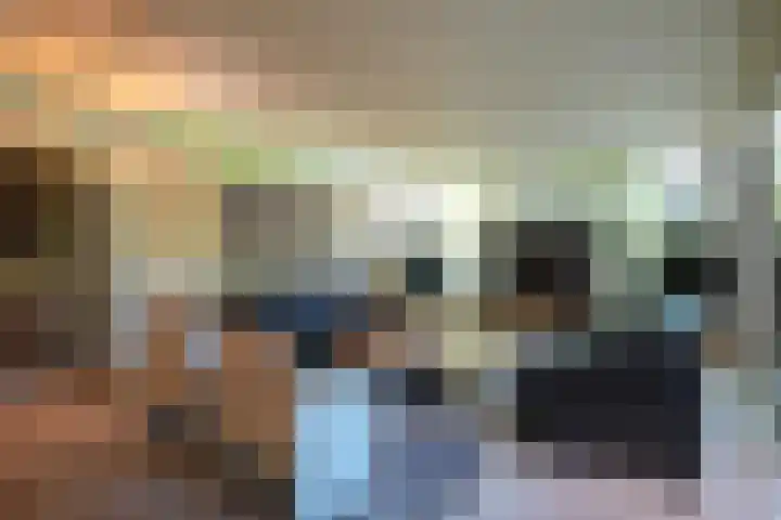 Toon Hermanssingel 5 Sittard thumbnail 11