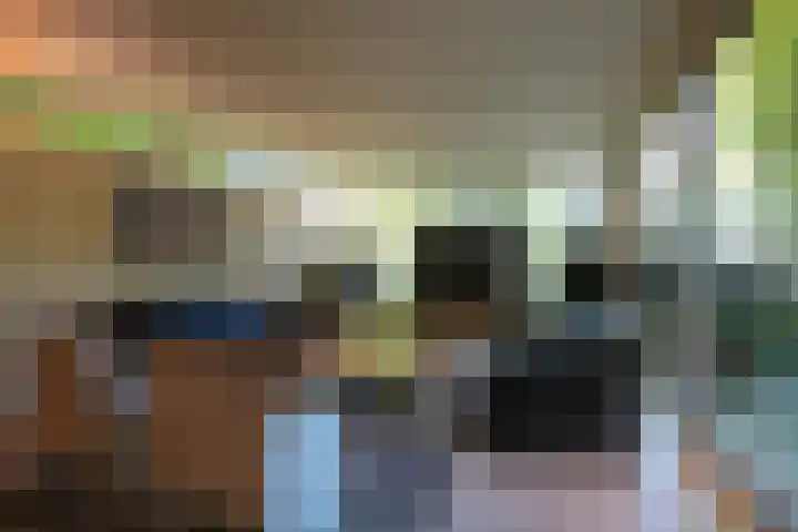 Toon Hermanssingel 5 Sittard thumbnail 12