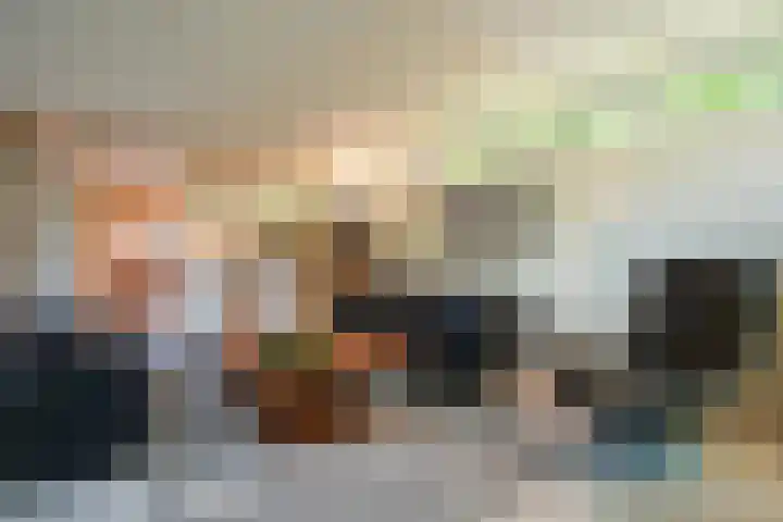Toon Hermanssingel 5 Sittard thumbnail 14