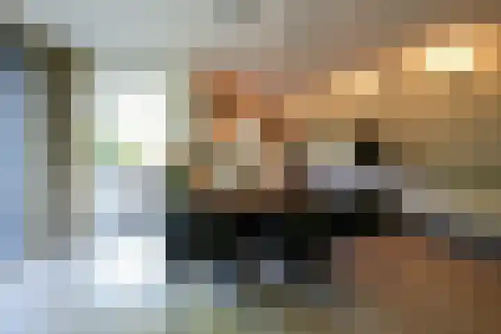 Toon Hermanssingel 5 Sittard thumbnail 20