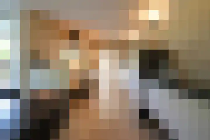 Toon Hermanssingel 5 Sittard thumbnail 22