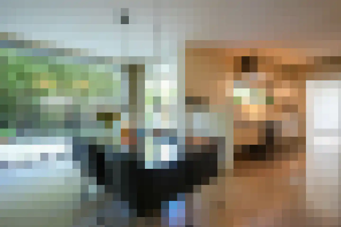 Toon Hermanssingel 5 Sittard thumbnail 22