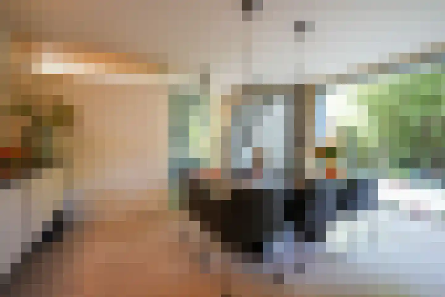 Toon Hermanssingel 5 Sittard thumbnail 23