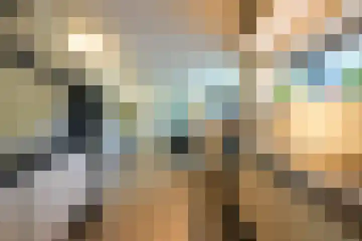 Toon Hermanssingel 5 Sittard thumbnail 25