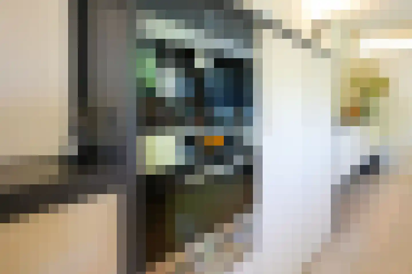 Toon Hermanssingel 5 Sittard thumbnail 26