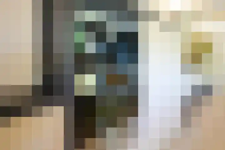 Toon Hermanssingel 5 Sittard thumbnail 26