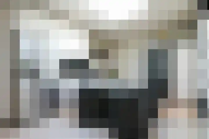 Toon Hermanssingel 5 Sittard thumbnail 27