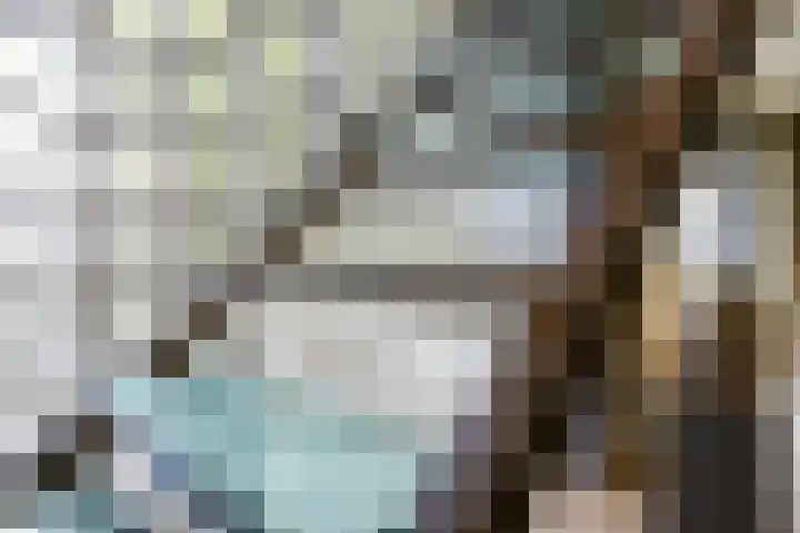 Toon Hermanssingel 5 Sittard thumbnail 30
