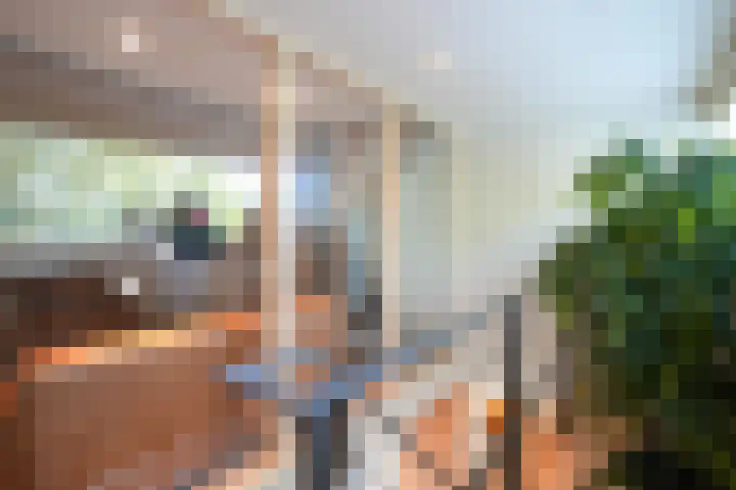 Toon Hermanssingel 5 Sittard thumbnail 31