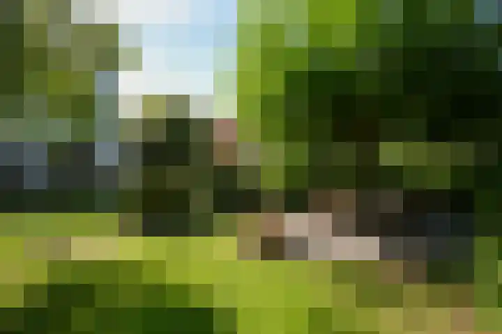 Toon Hermanssingel 5 Sittard thumbnail 5