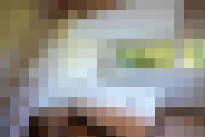 Toon Hermanssingel 5 Sittard thumbnail 51