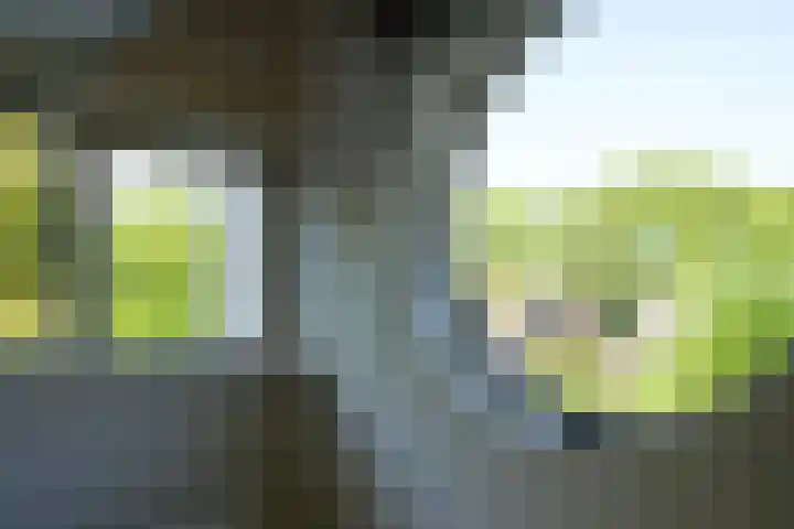 Toon Hermanssingel 5 Sittard thumbnail 52